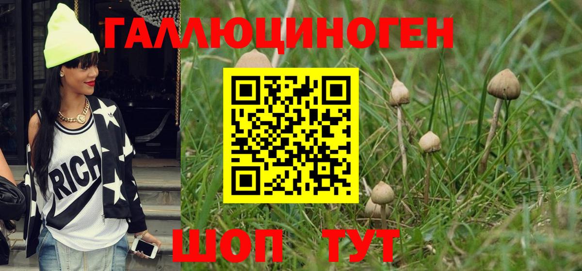 Галлюциногенные грибы мухоморы  Вход с VPN  Галлюциногенные грибы Psilocybine cubensis  Новоуральск 