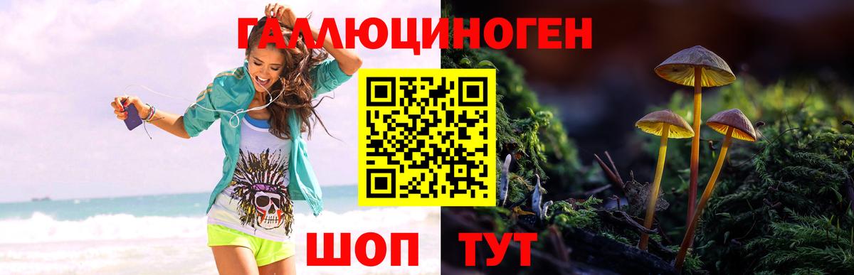 Галлюциногенные грибы GOLDEN TEACHER Новоуральск